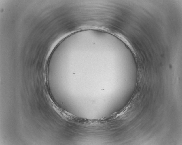 X0000061721148200512302113