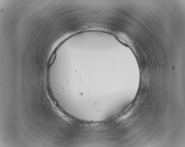 X0000061721149200512302113