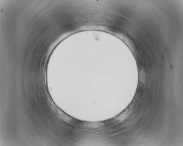 X0000061721150200512302113