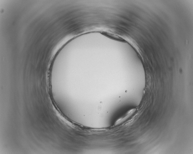 X0000061721151200512302113