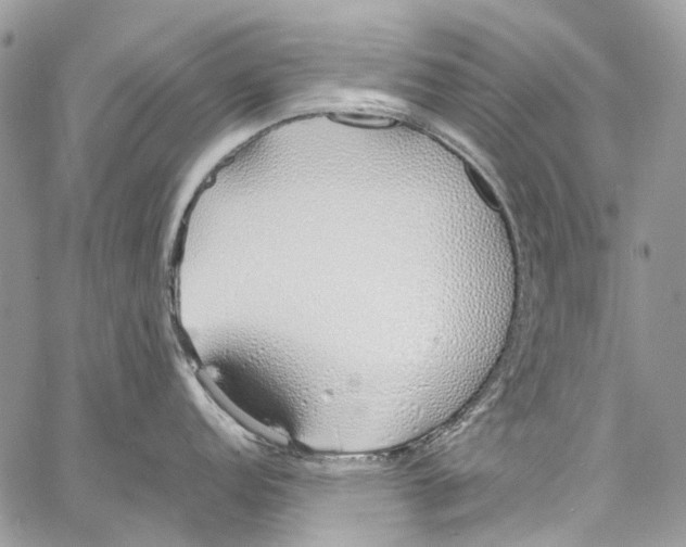 X0000061721152200512302113