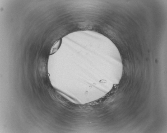 X0000061721154200512302112