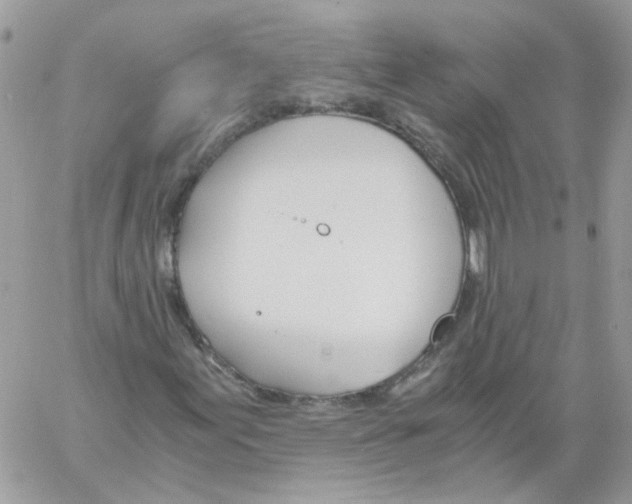 X0000061721155200512302112