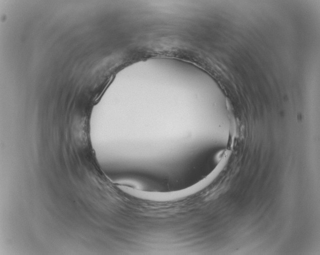 X0000061721156200512302112