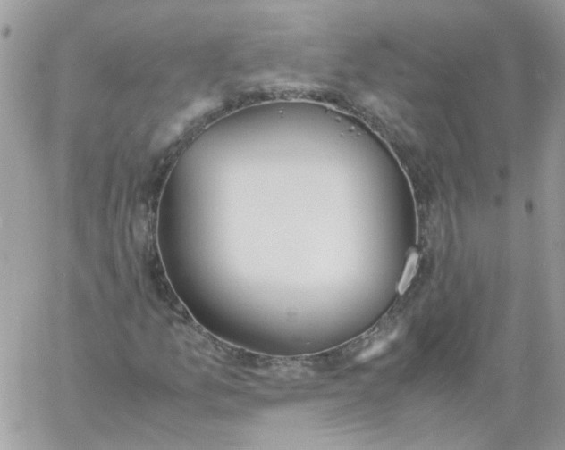 X0000061721157200512302112