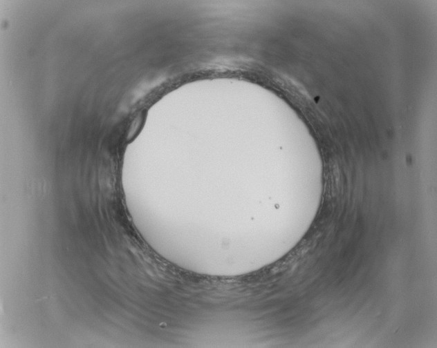 X0000061721158200512302112