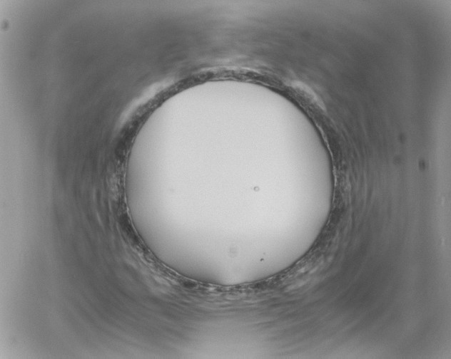 X0000061721159200512302112