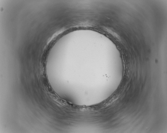 X0000061721160200512302112