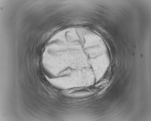 X0000061721161200512302112