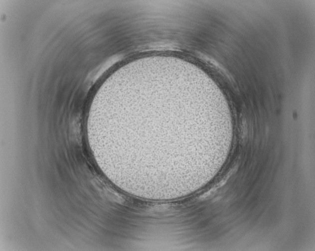 X0000061721162200512302112