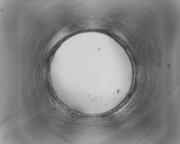 X0000061721163200512302112