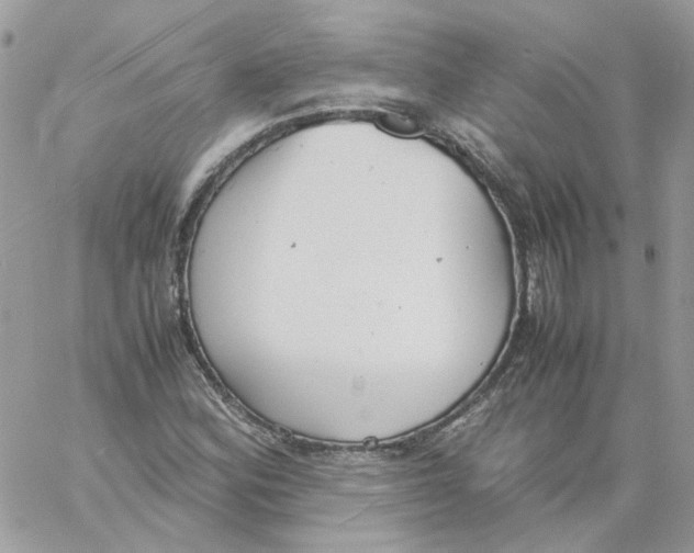 X0000061721164200512302112