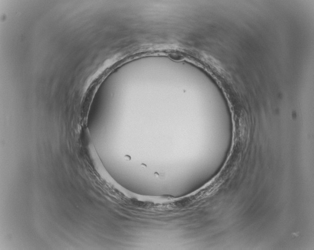 X0000061721165200512302112