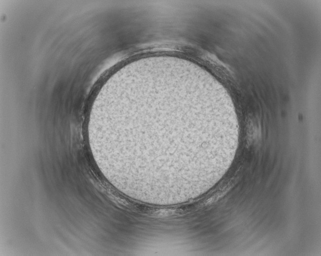 X0000061721166200512302112