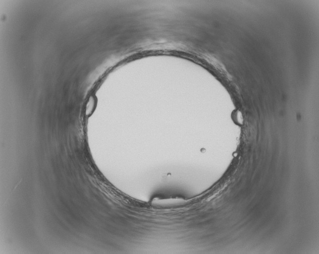 X0000061721167200512302112