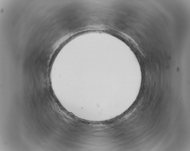 X0000061721168200512302112