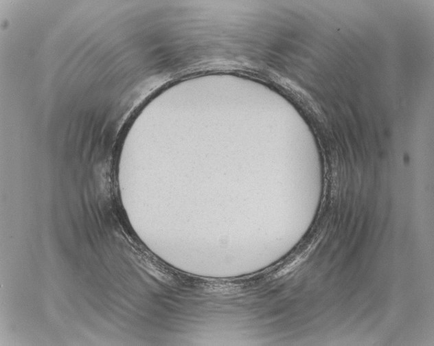 X0000061721170200512302112