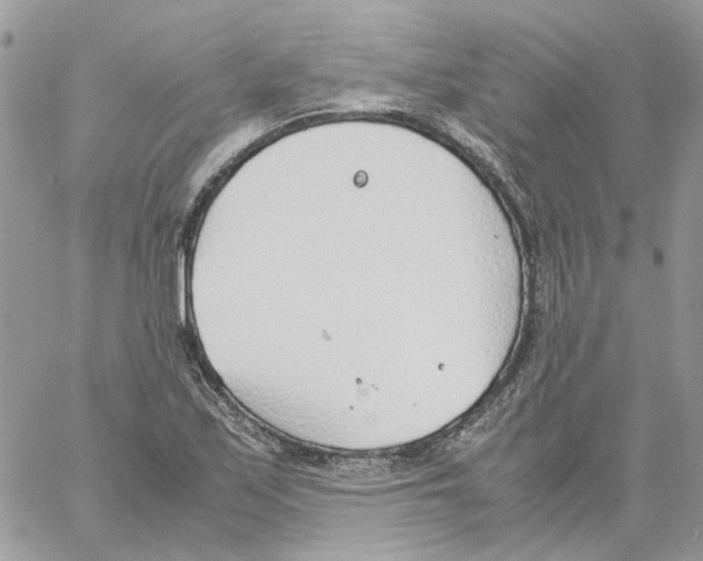 X0000061721171200512302112