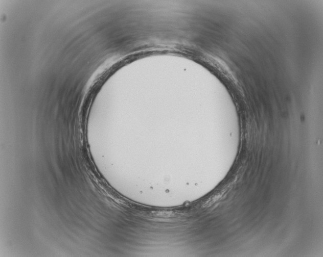 X0000061721172200512302112