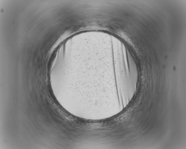 X0000061721173200512302112