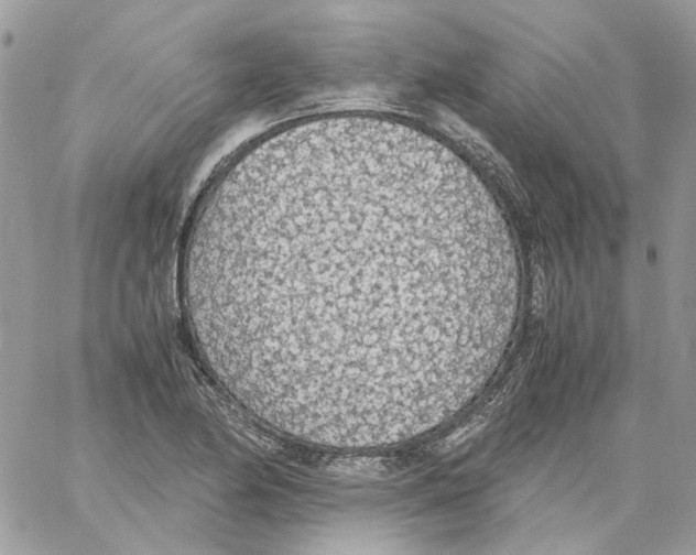 X0000061721174200512302112