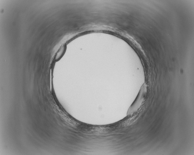 X0000061721175200512302112