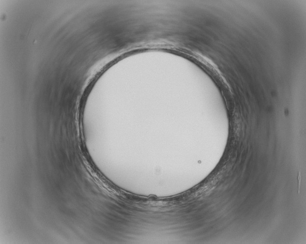 X0000061721176200512302112