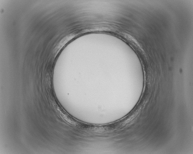 X0000061721177200512302112