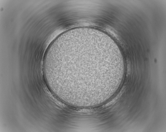 X0000061721178200512302112