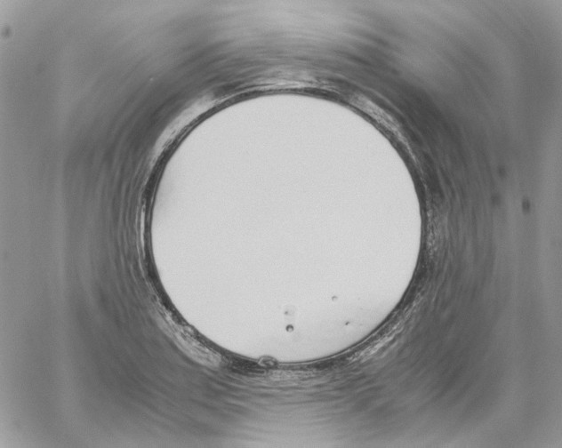 X0000061721179200512302112