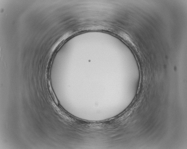 X0000061721181200512302112