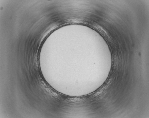 X0000061721182200512302112