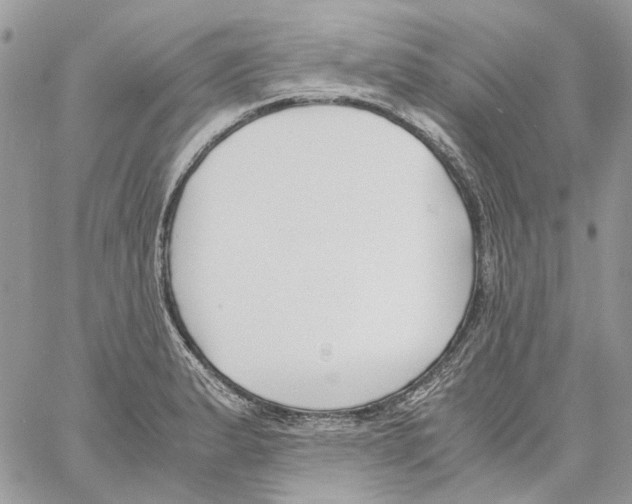 X0000061721183200512302112