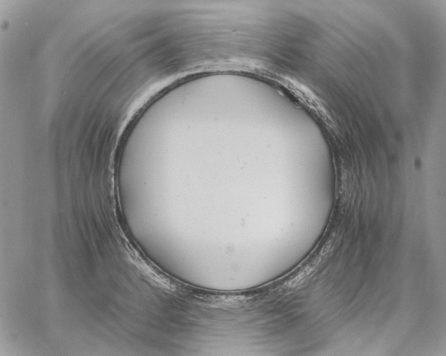 X0000061721184200512302112