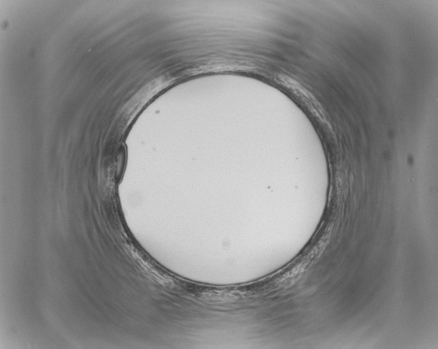 X0000061721185200512302112