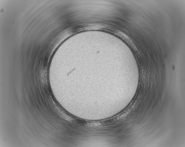 X0000061721186200512302112