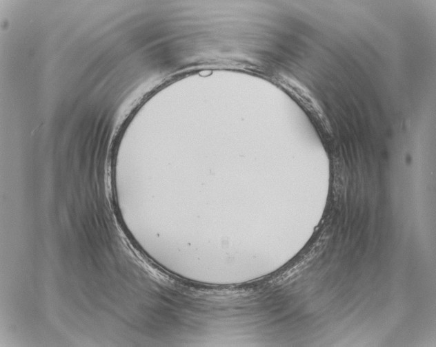 X0000061721188200512302112