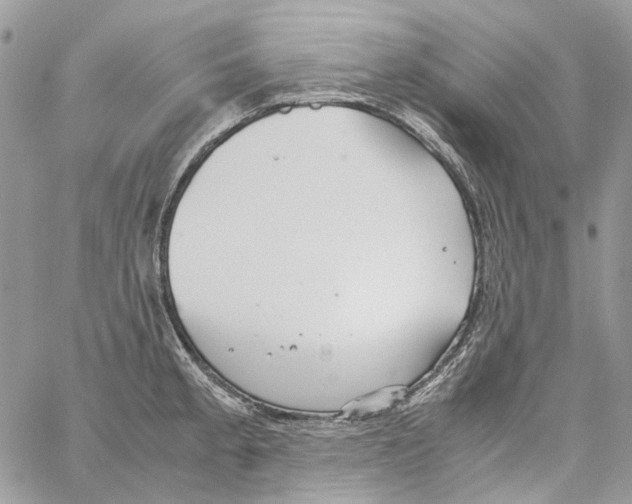 X0000061721189200512302112