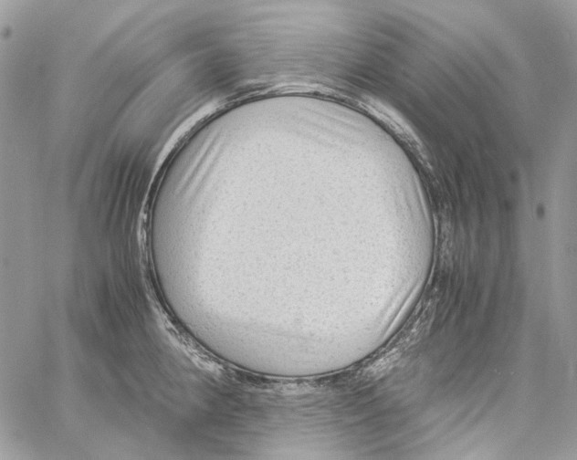 X0000061721190200512302112