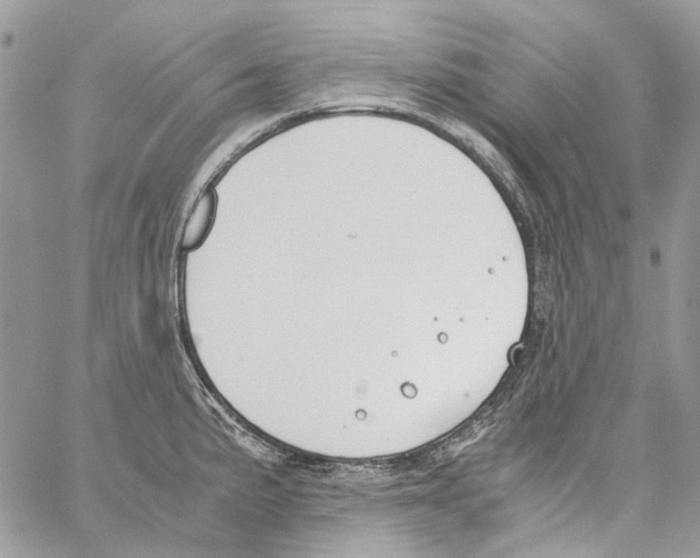 X0000061721191200512302112