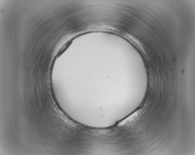 X0000061721192200512302112