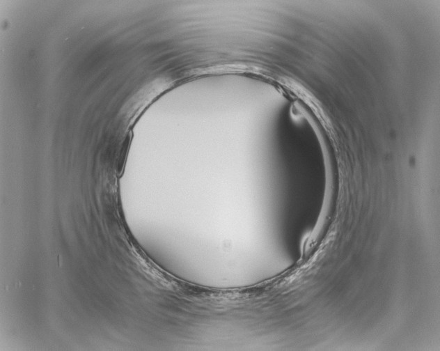 X0000061721193200512302112