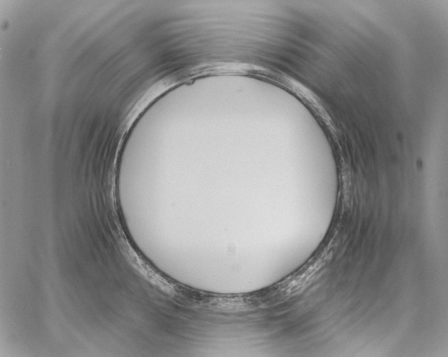 X0000061721194200512302112