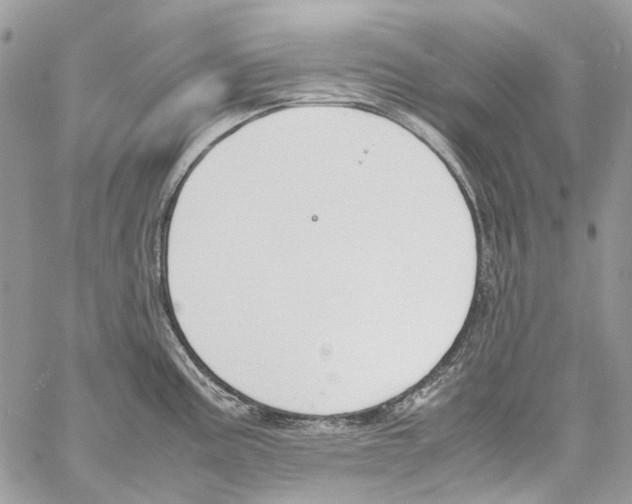 X0000061721195200512302112