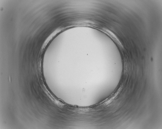 X0000061721196200512302112