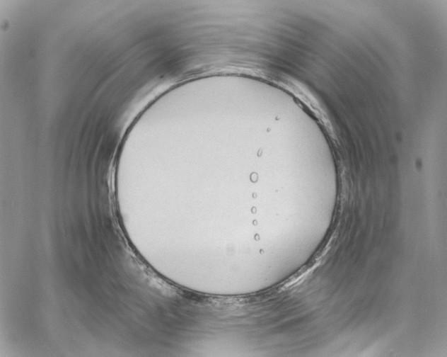 X0000061721198200512302112