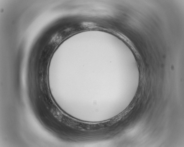 X0000061721199200512302112