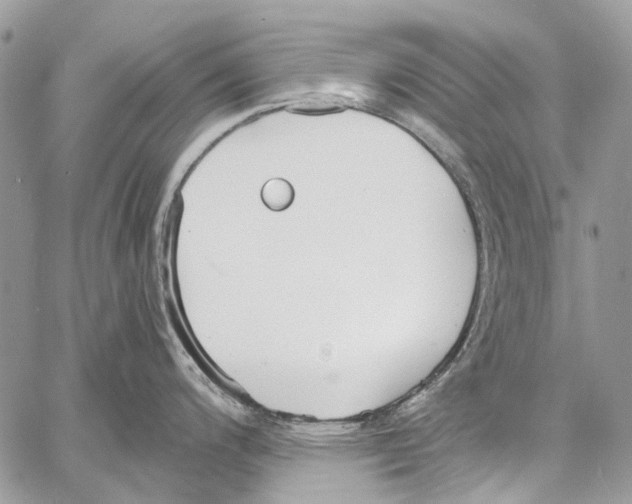 X0000061721200200512302112