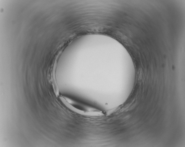 X0000061721202200512302111