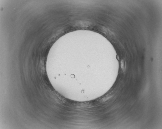 X0000061721203200512302111